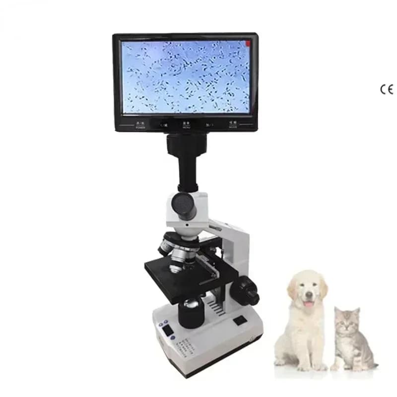 Microscopio biologico veterinario con schermo LED da 5 pollici, microscopio da laboratorio, molto venduto