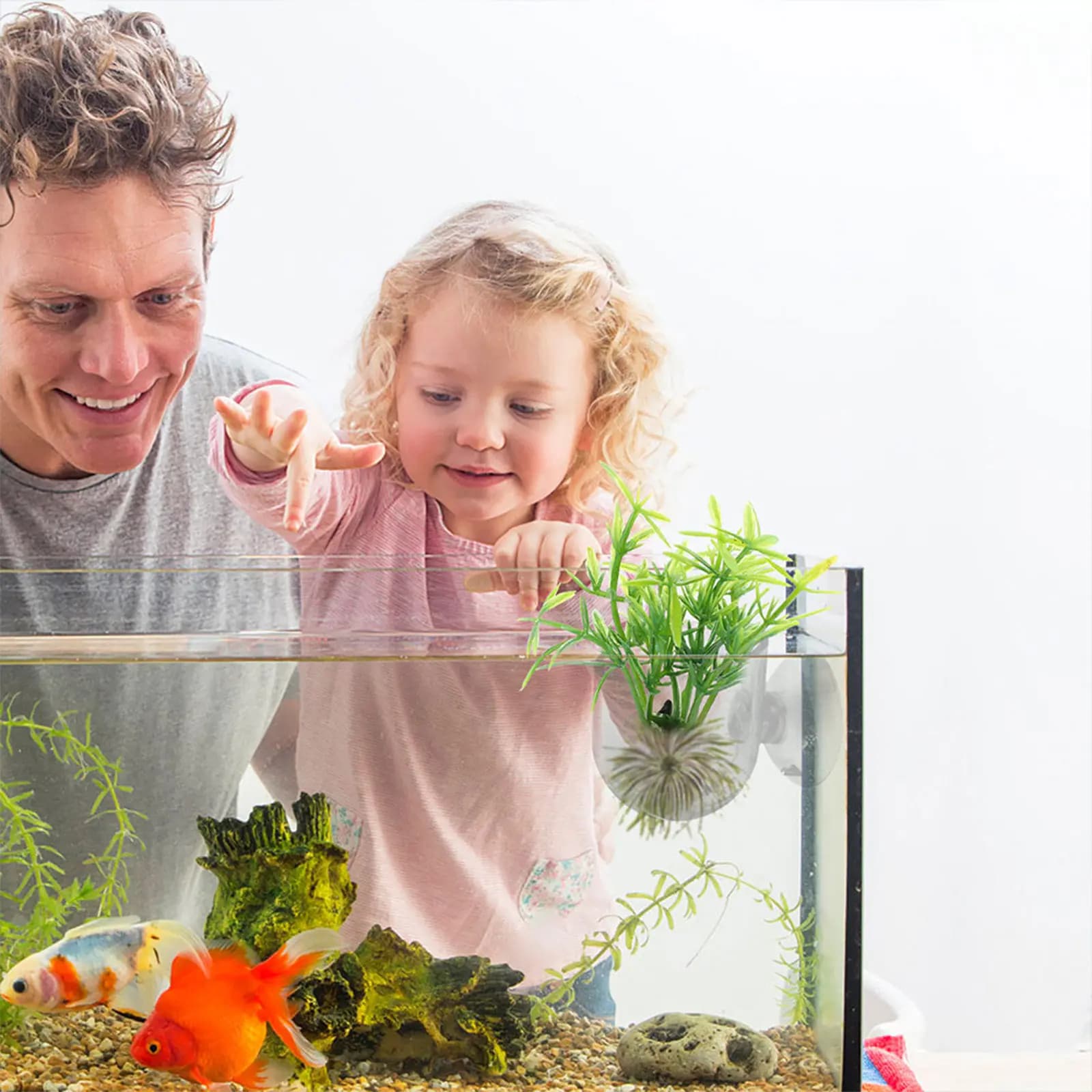 Set di 6 Vasi per Piante d'Acquario in Acrilico, Portapiante Trasparenti con Ventosa, Alimentatore per Pesci, Accessori Decorativi