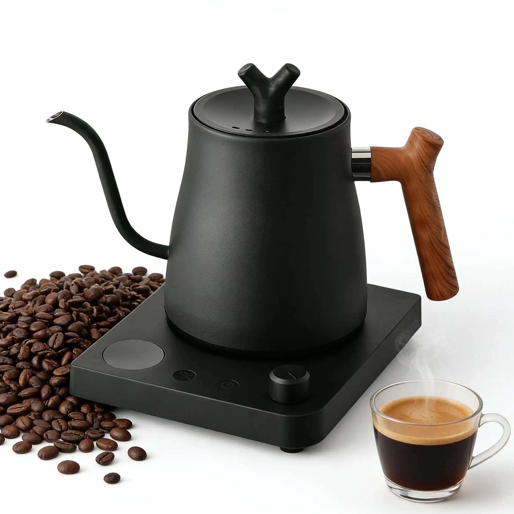 Bollitore Elettrico a Collo d'Oca 1L: Controllo Intelligente della Temperatura per Caffè Pour-Over, Ebollizione Rapida in Acciaio Inox, 110V e 220V