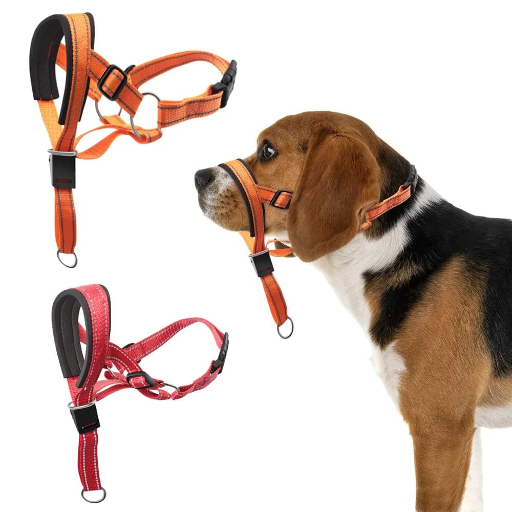Set di museruola per cani traspirante anti-scorte con strisce riflettenti, collare da allenamento estivo, guinzaglio combinato
