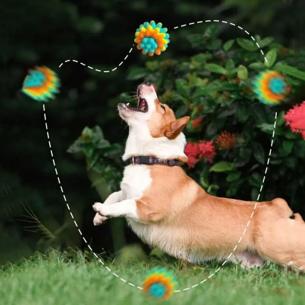 Giocattolo per Cani Resistente ai Morsi, Palla Elastica in TPR, Gioco Interattivo Colorato per Alleviare la Noia