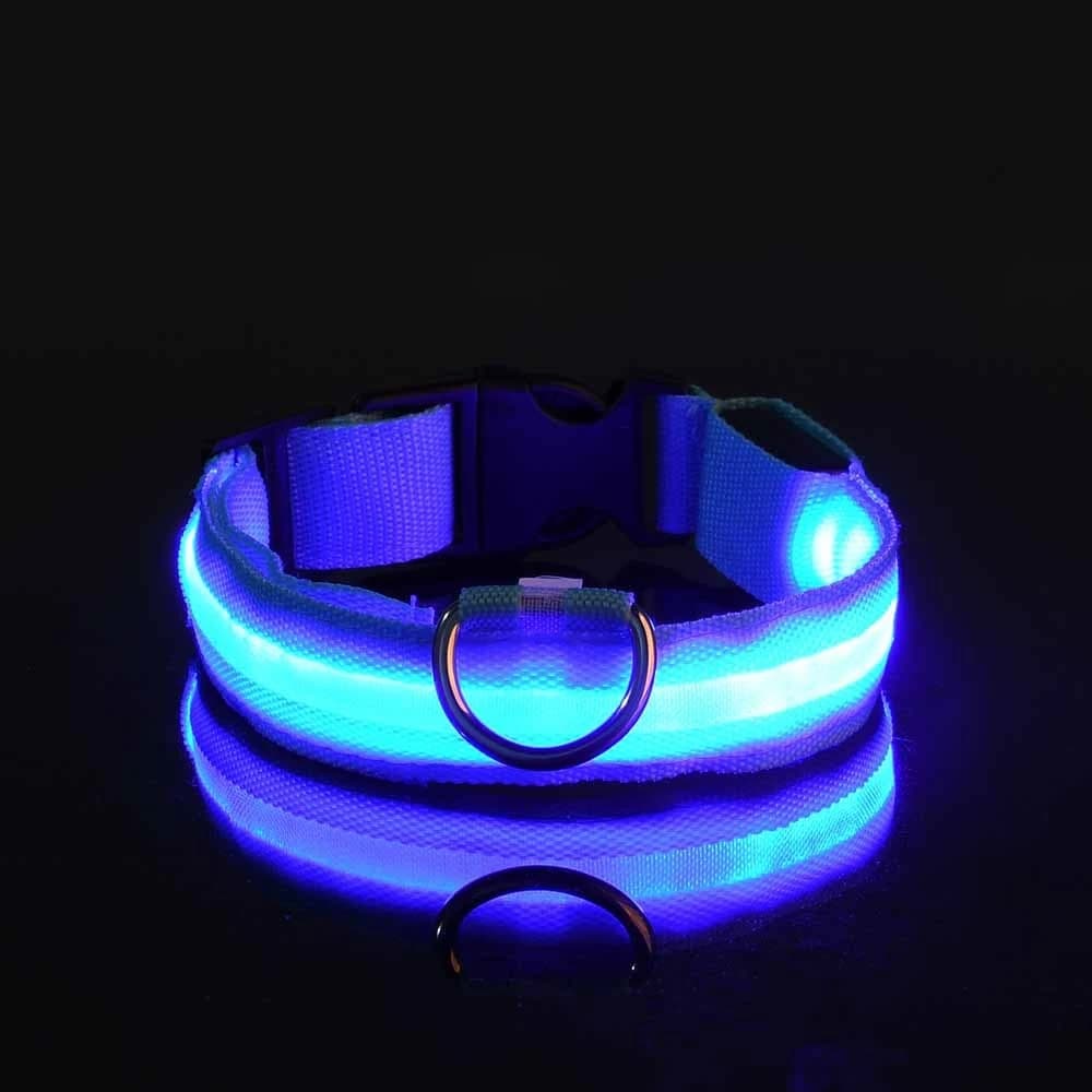 Collare per cani con luce LED, lampeggiante di sicurezza notturna, luminoso al buio, guinzaglio per cani, accessori luminosi fluorescenti per cani
