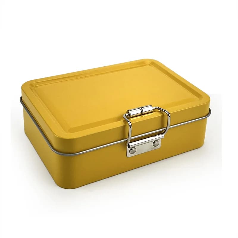 Scatola Portatile per Attrezzatura da Pesca con Coperchio Ribaltabile, Contenitore Multifunzionale per Esche e Accessori