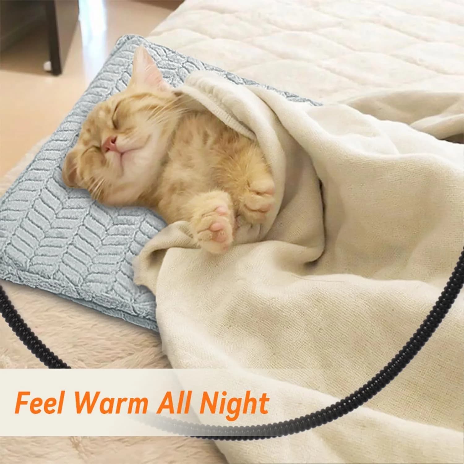 Coperta elettrica sostenibile per animali domestici di vendita calda personalizzata Tappetino riscaldante caldo in velluto Tappetino caldo per gatti e cani Waterp lavabile rimovibile