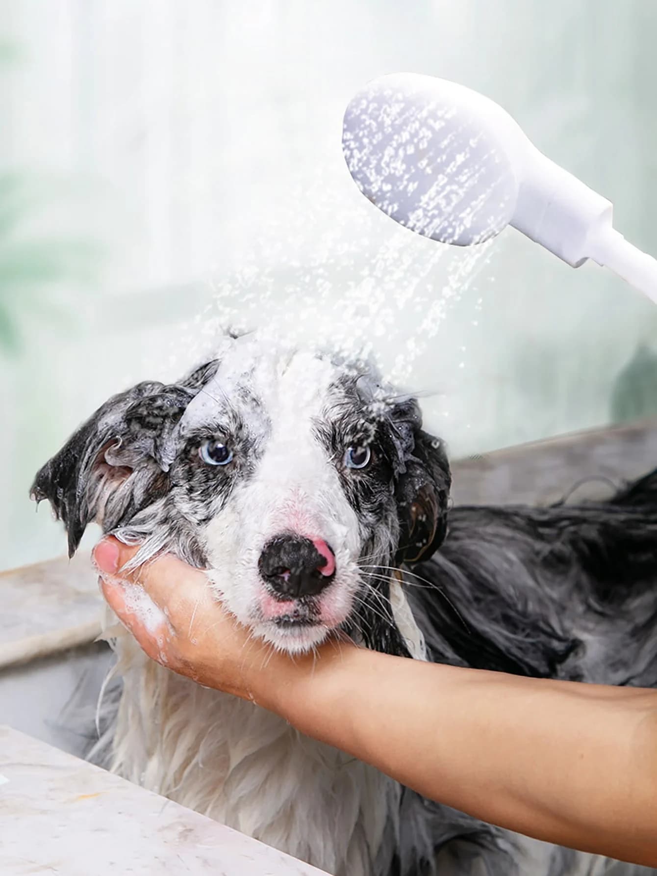 1 rubinetto, shampoo, doccia, rubinetto per doccia per cani e gatti, spray, rubinetto multifunzione, ugello per doccia, facile da installare