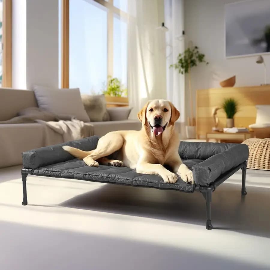 Cuccia rialzata rinfrescante per cani con cuscino rimovibile impermeabile, lettino rialzato per animali domestici con rete traspirante in Teslin, piedini antiscivolo