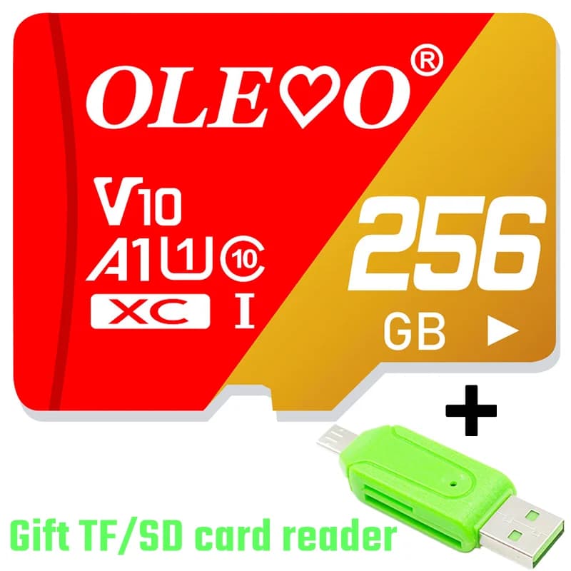 100% scheda di memoria originale 256GB 128GB 64GB 32GB A1 Micro TF SD Card classe 10 UHS-1 scheda Flash per Samrtphone/PC