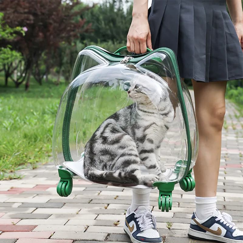 Fully Transparent Cat Ear Pet Trolley Case Breathable Space Cabin Carrier Portable Outdoor Travel Bag For Small Dog Kitten