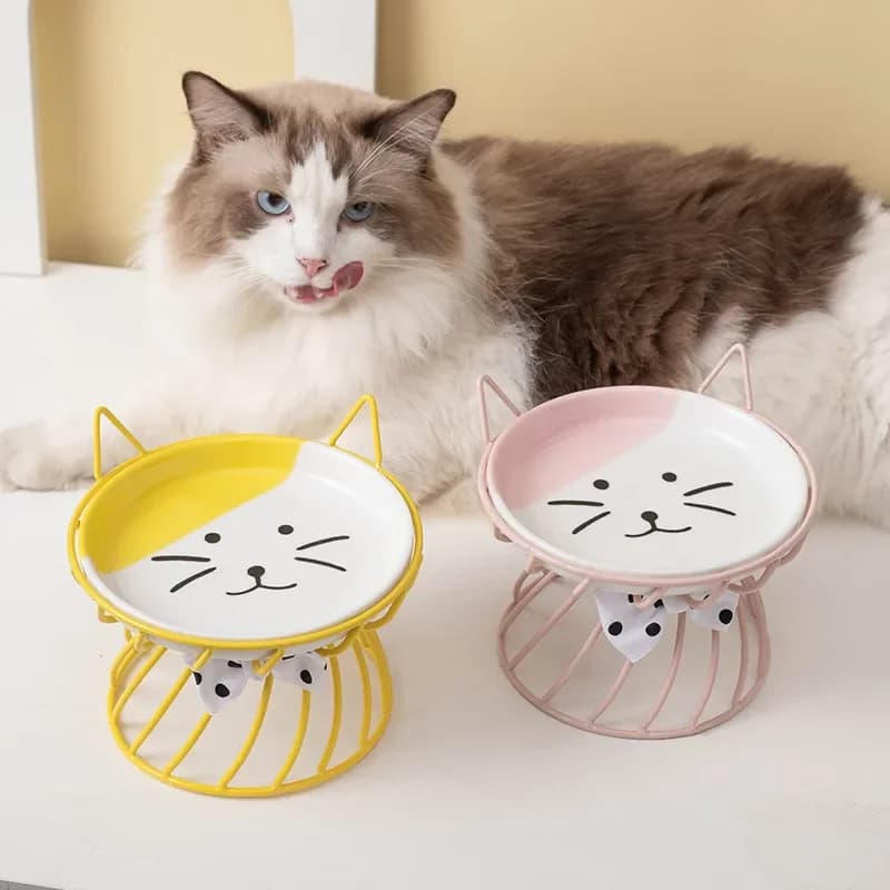 Ciotola in Ceramica per Animali Domestici, Doppia Ciotola per Cibo e Acqua con Supporto Rialzato in Acciaio Inox, Accessorio Durevole per Cani e Gatti