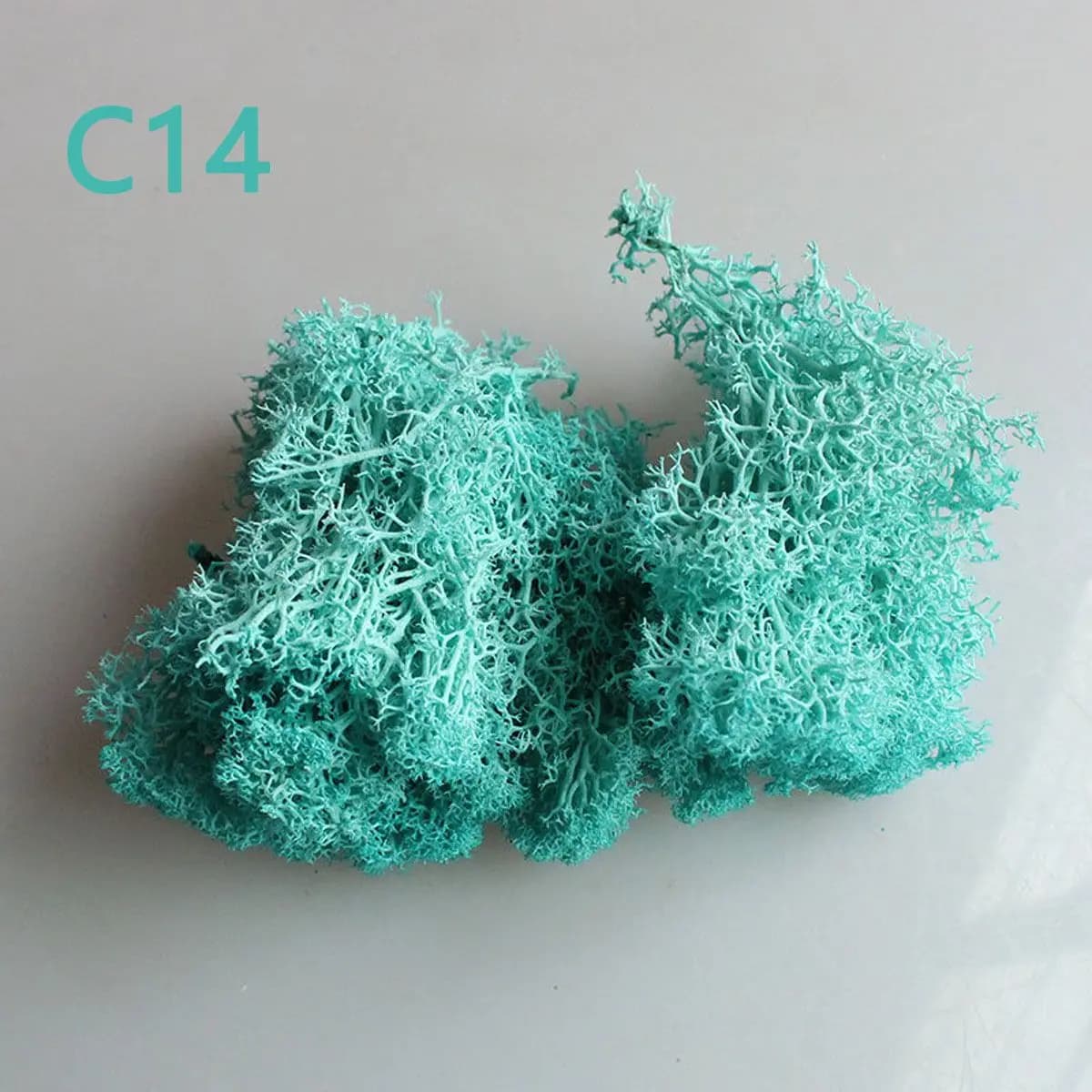 Accessories Garden Flower Home Decor Christmas Decoration Reindeer Moss Eternal Life Moss Artificial plant Micro Landscape