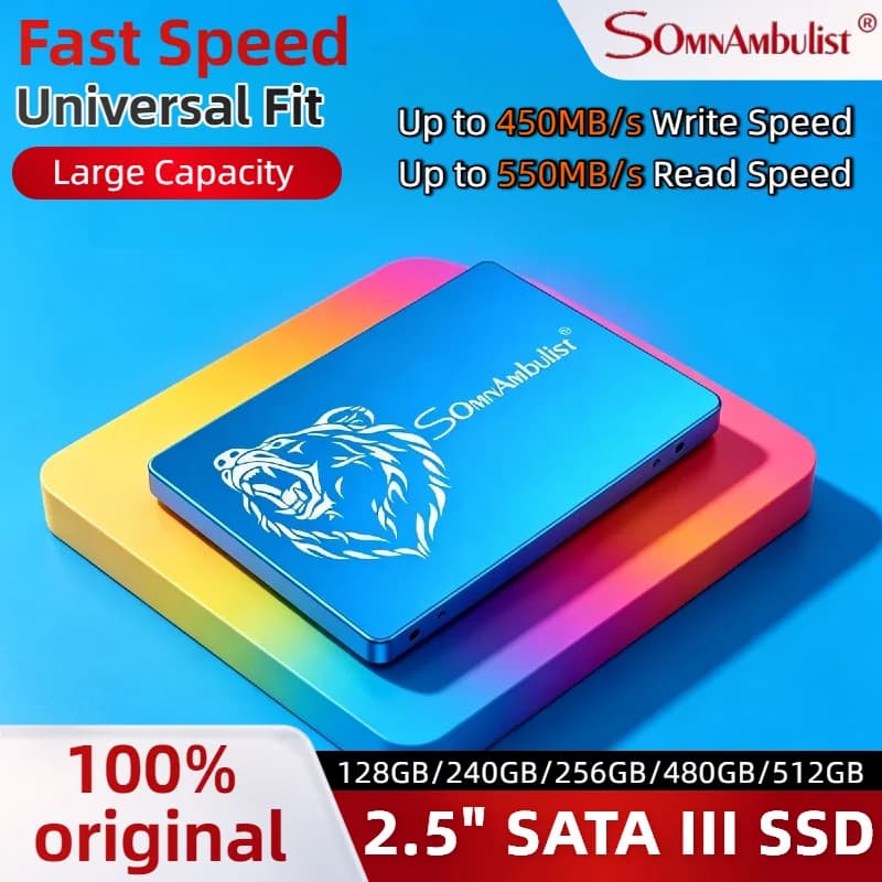 SomnAmbulist 2.5 Inch SATA Interface SSD 1TB Large Capacity High Speed Solid State Drive Internal Storage for Laptop Desktop Pro