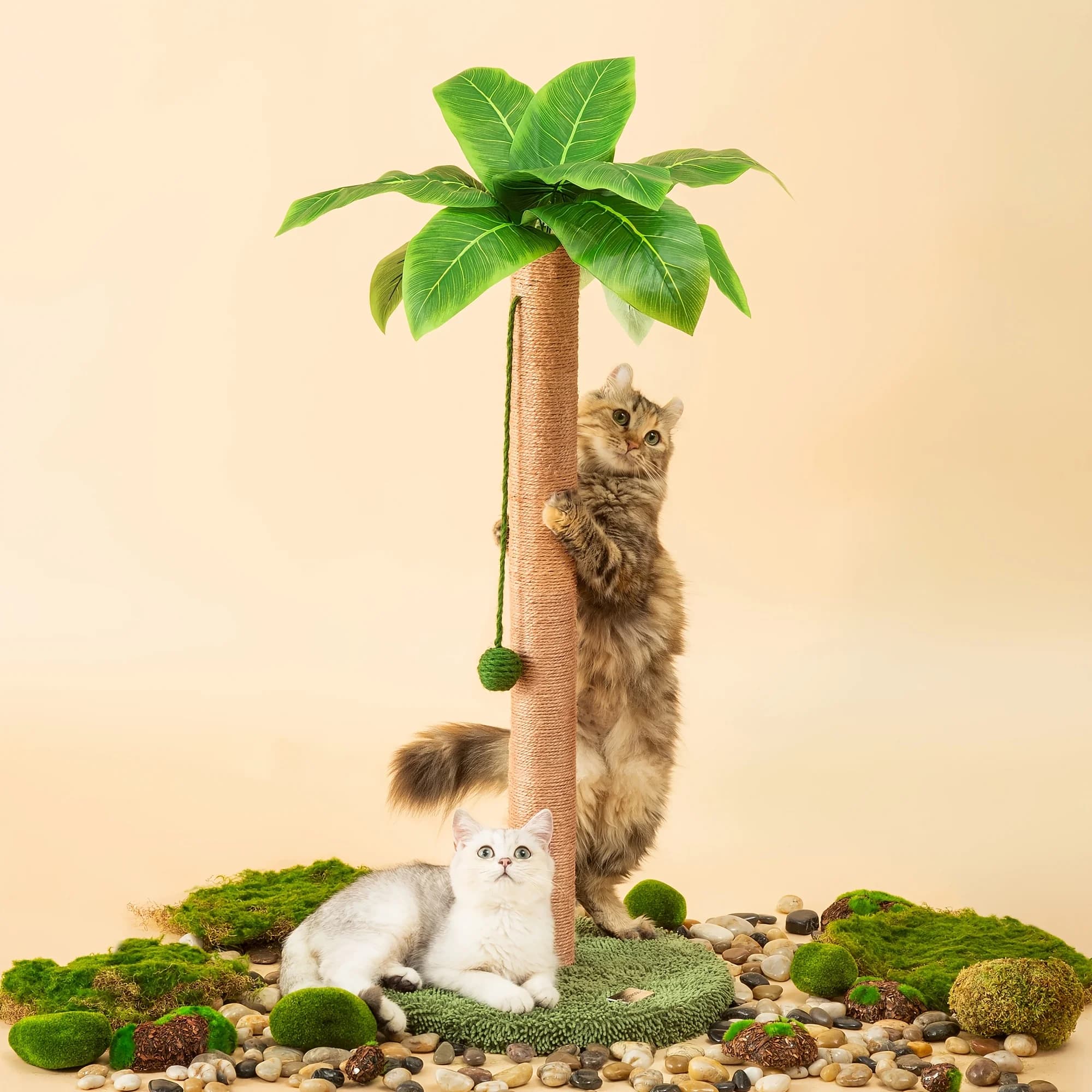 Meowoou Tiragraffi per Gatti con Palla Sospesa, 84 cm di Altezza, Adorabili Giocattoli per Gatti da Interno con Corda in Sisal, Decorazione a Palma
