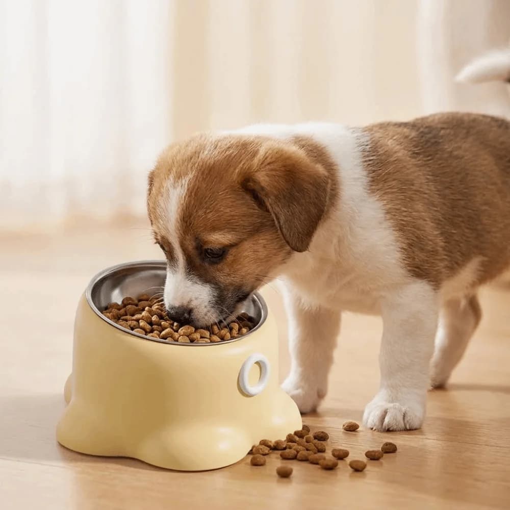 Ciotole Antiscivolo per Gatti con Protezione Collo, Ciotola Rialzata Anti-Ribaltamento per Cani, Ciotola Inclinata Anti-Urto per Acqua Gatti, Ciotola per Bere per Animali Domestici
