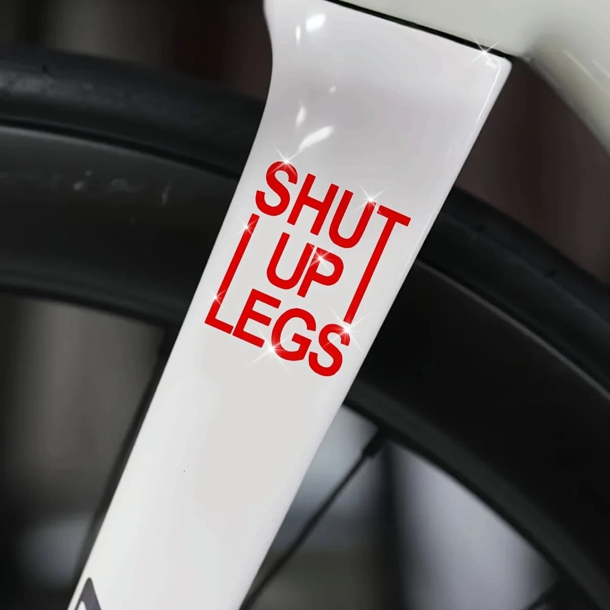 2 Pezzi Adesivi per Bici Shut Up Leg, Decalcomanie in Vinile per Telaio Bici e Casco, Accessori Impermeabili per Mountain Bike