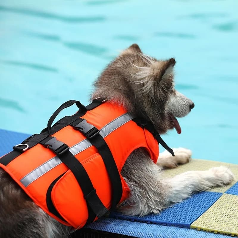 Dog Life Jacket Large High Flotation Dog Life Vest for Swimming Boating Reflective Vest Pet Life Preserver with Rescue Handle