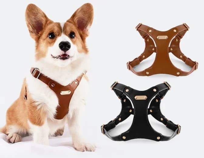 Soft Leather Dog Harness Leash Set No Pull Adjustable Pet Vest Walking Lead for Corgi Small Medium Dogs Puppy