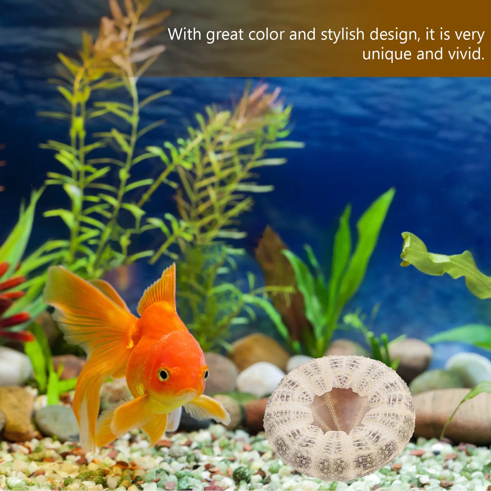 Set di 6 Vasi a Forma di Riccio di Mare, Fioriere Naturali per Piante Aeree, Decorazione da Tavolo, Acquario, Paesaggio Fai-da-Te per Giardinaggio