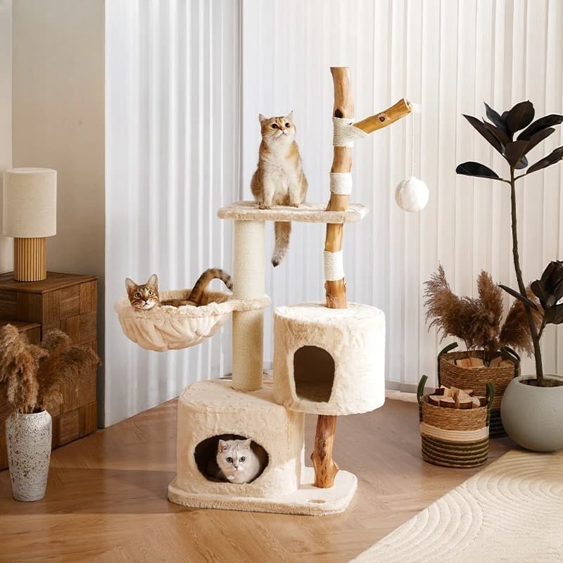 Struttura per arrampicata su gatti in legno massello, baule per alberi, casetta sull'albero, nido per gatti, famiglia integrata sull'albero per gatti, dedicata ai grandi gatti del Maine