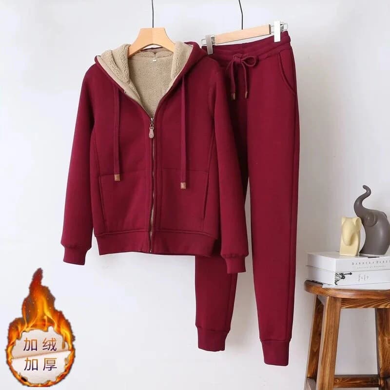 Autunno inverno felpa pantaloni della tuta tuta a due pezzi donna Fleece addensare sport Casual set felpe con cappuccio cappotto pantaloni set da 2 pezzi