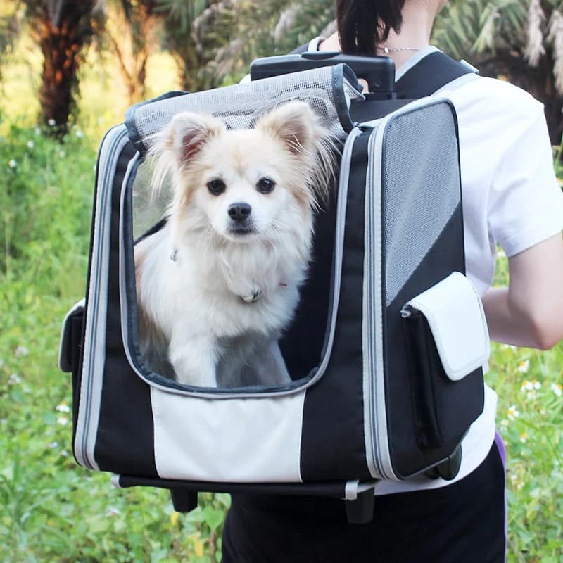Borsa da viaggio Carrello per cani Zaino Trolley per animali domestici impermeabile Zaino per cani Borsa da viaggio in rete con ruote per cuccioli di gatto