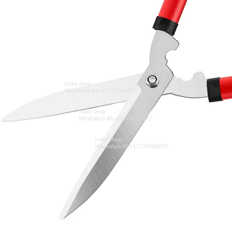 Garden Feeding and Cutting Scissors, Prati, Fruit Trees and Recinations, Robust and Mass