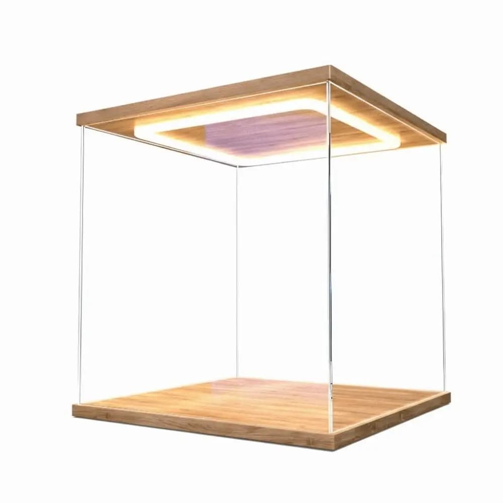 Espositore in Acrilico Trasparente con Luci LED per Anelli, Scatola Espositiva Altamente Trasparente Antipolvere, Contenitore Moderno per Conservazione