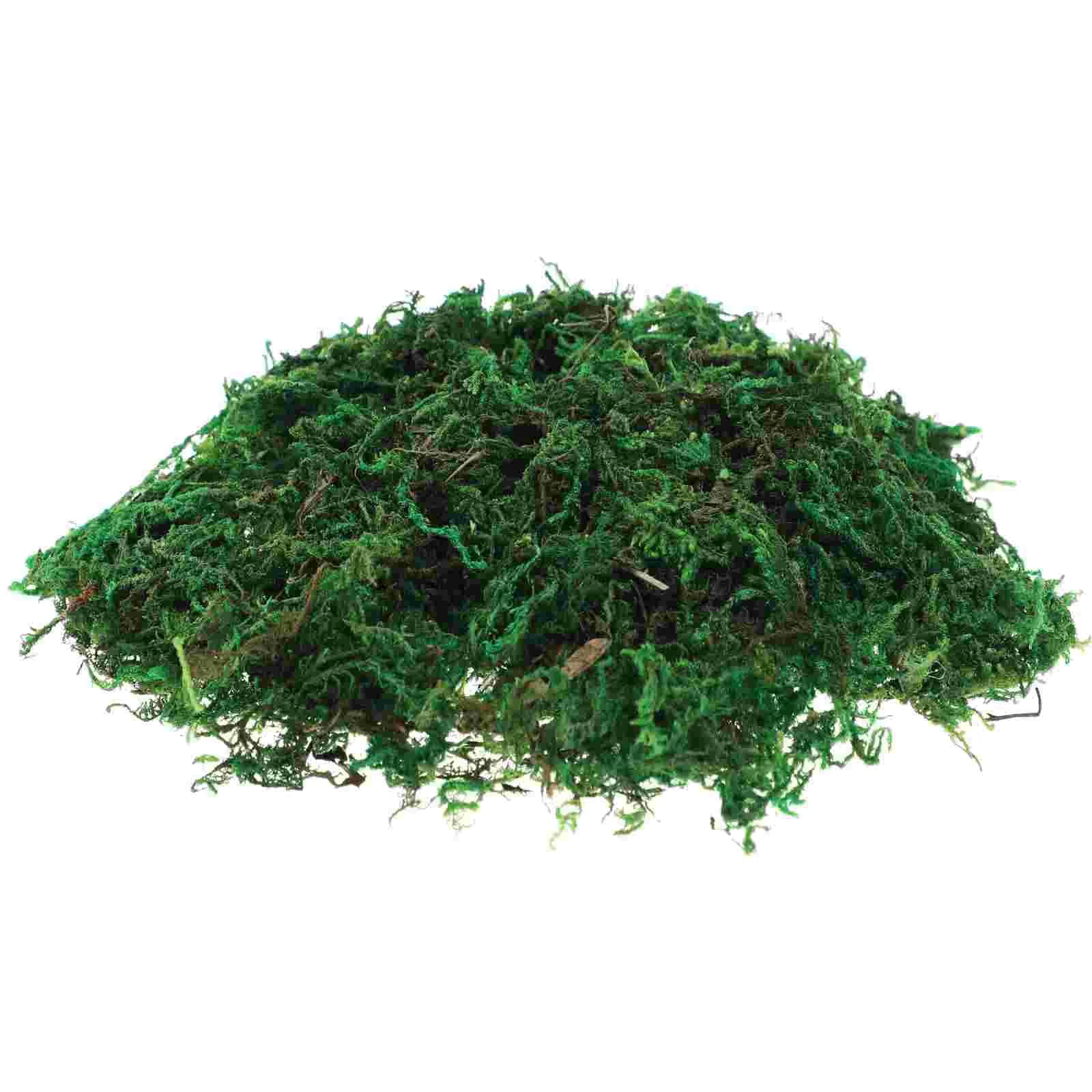 1 pack of artificial green moss crafts of DIY flowers moss fake dried moss preserved for potted plants (about 20G)