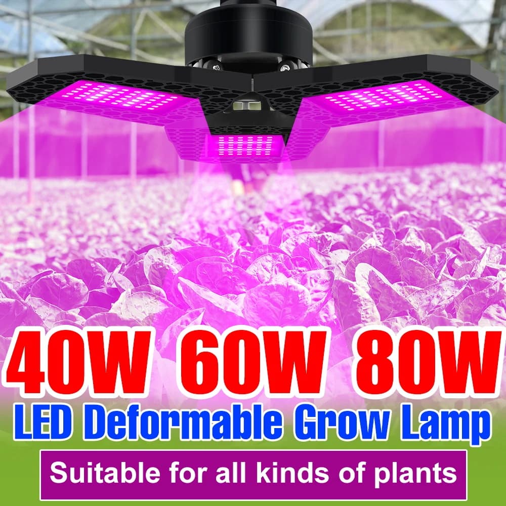 Lampada LED per Coltivazione a Spettro Completo 80W, E27/E26, Pieghevole per Serre, Semenzai, Frutta, Verdura e Fiori