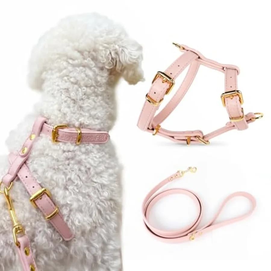 Set di Lusso per Cani: Pettorina e Guinzaglio in Pelle PU Anti-Fuga e Anti-Soffocamento, Design Confortevole con Attacco Anteriore/Posteriore, Essenziale per Animali Domestici