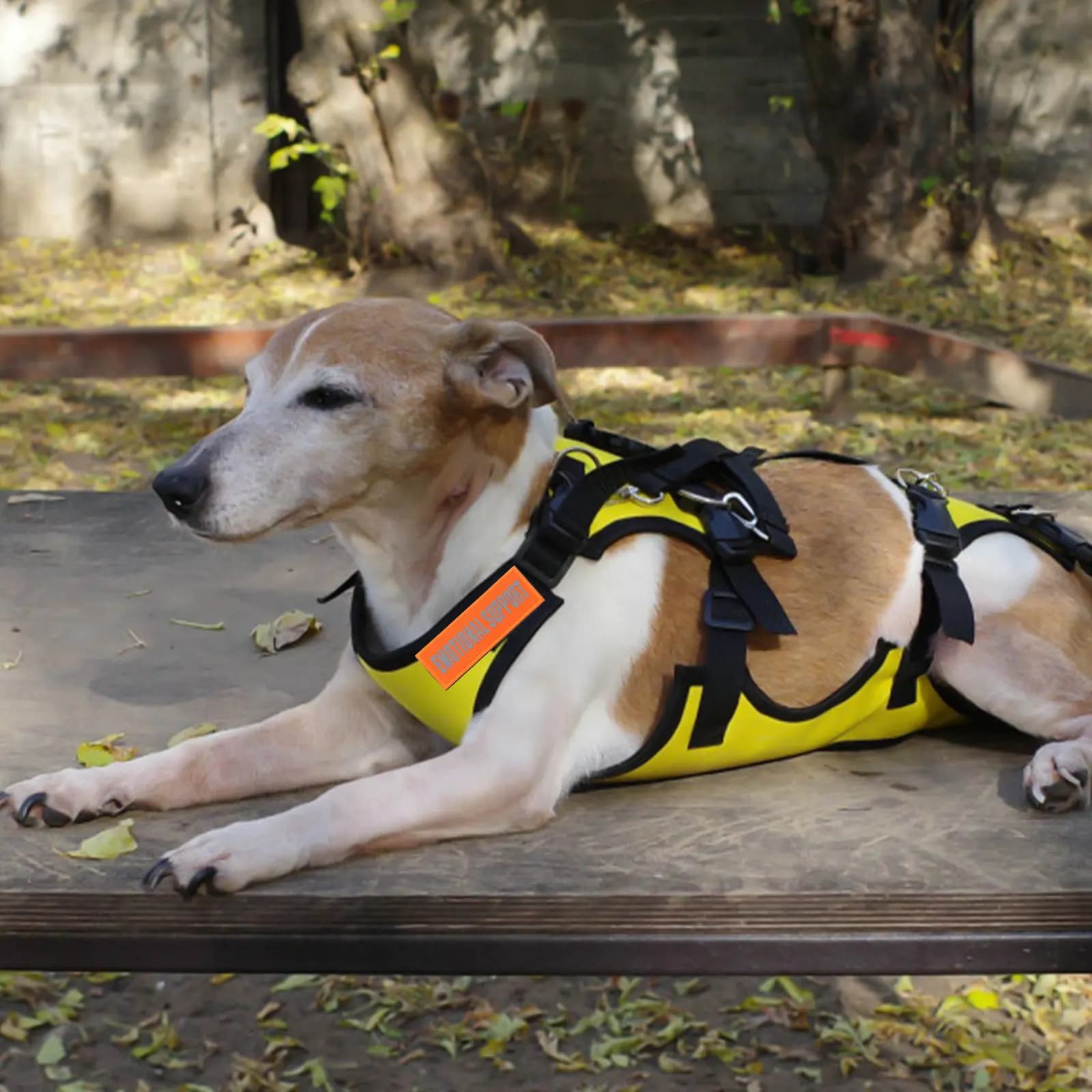 4 Pezzi Patch Riflettenti Decorativi per Pettorina per Cani, Accessori Resistenti all'Usura per Gilet da Esterno per Passeggiate e Jogging