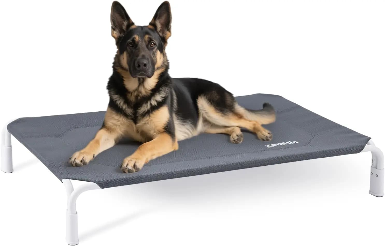 Cuccia Rialzata XL per Cani, Montaggio Senza Attrezzi, Letto Rinfrescante per Animali di Taglia Grande, 48x33 Pollici, Uso Esterno/Interno