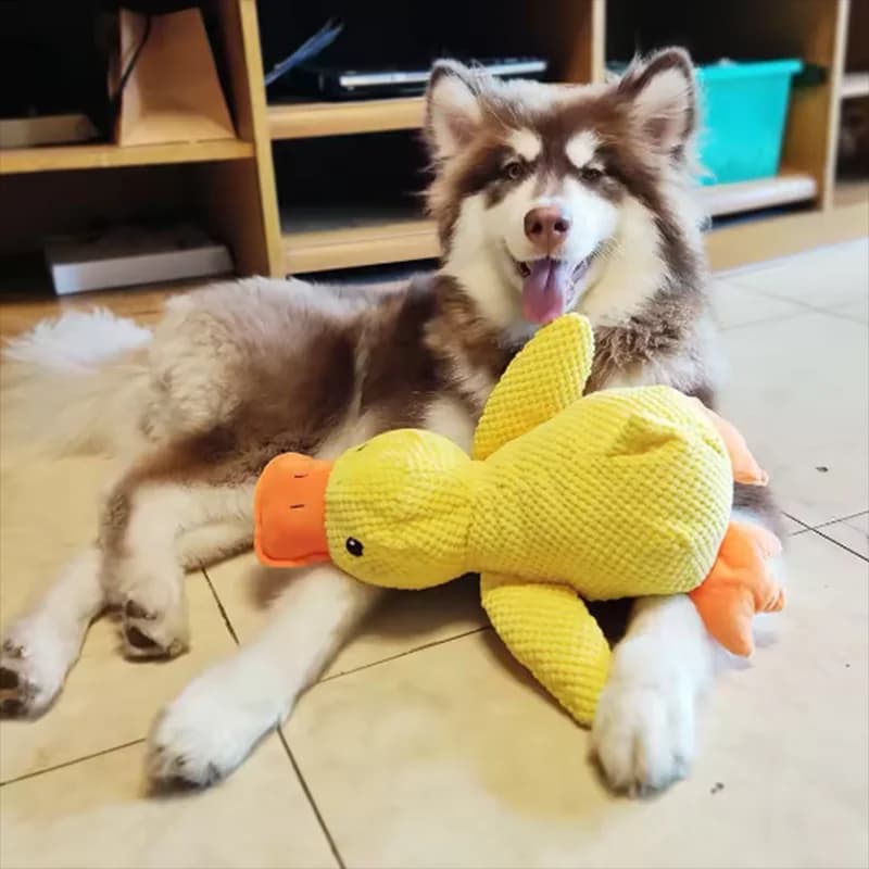 Giocattolo per Cani a Forma di Anatra, Resistente ai Morsi, per Pulizia Denti, Intrattenimento Interattivo per Cani di Taglia Grande, Giocattolo in Peluche Anti-Noia per Cuccioli
