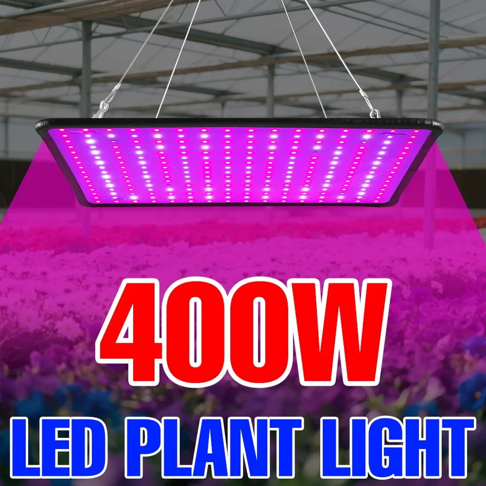 400W LED Coltiva The Light Spectro Complete Quantum Board Lamp for Cultivation of Plants for Indoors in Fruit Vessels Serra Tent Musk Succulent