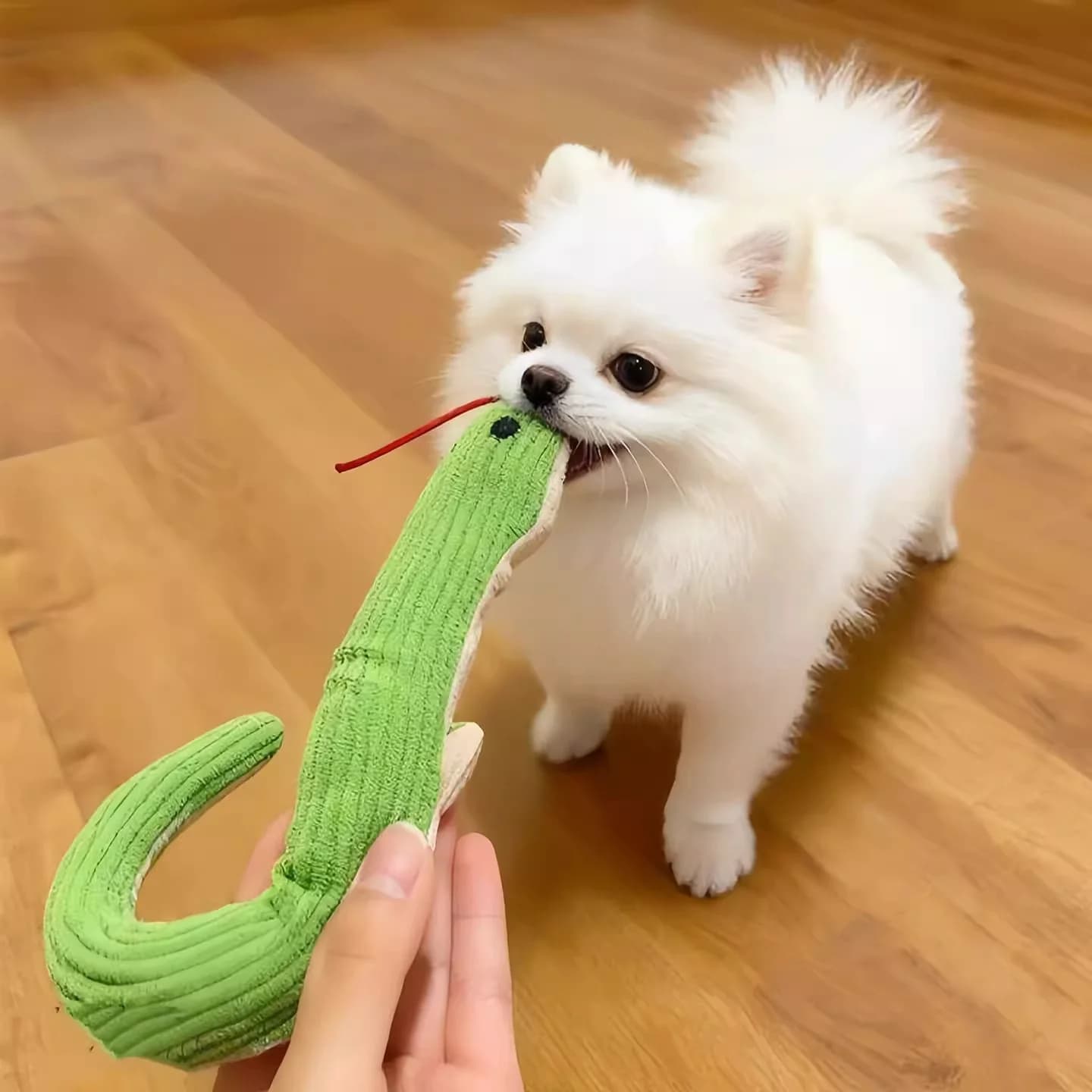 I giocattoli per cani scuotono la testa, i piccoli serpenti grinciano i denti per alleviare la noia e emettono suoni mentre giocano con i gatti. Sma