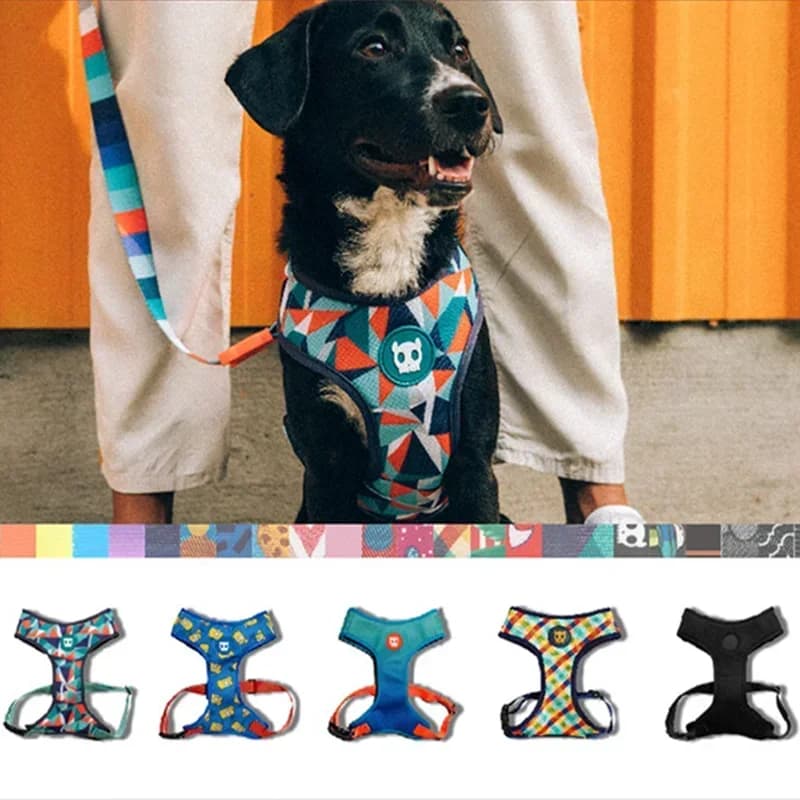 Gilet ad aria Pettorina per cani di piccola e media Labrador Golden Retriever Shiba Inu Pettorine Accessori per cani Arnes Perro