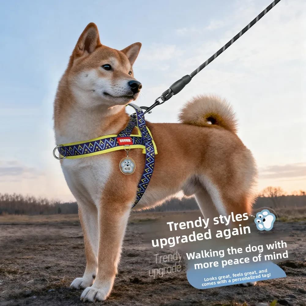 Saddle type dog leash Medium and small dog leash Bigbear Teddy adjustable chest strap to walk the dog