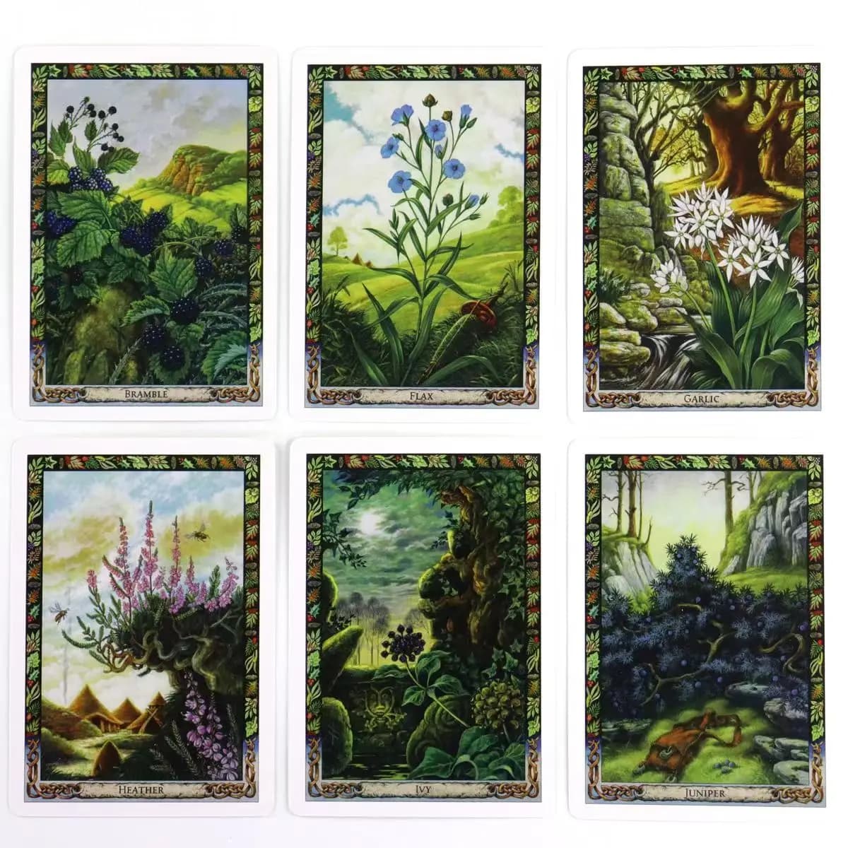 10.4*7.3cm The Druid Plant Oracle 36 Pcs Cards: lavorare con la magica Flora della tradizione Druid