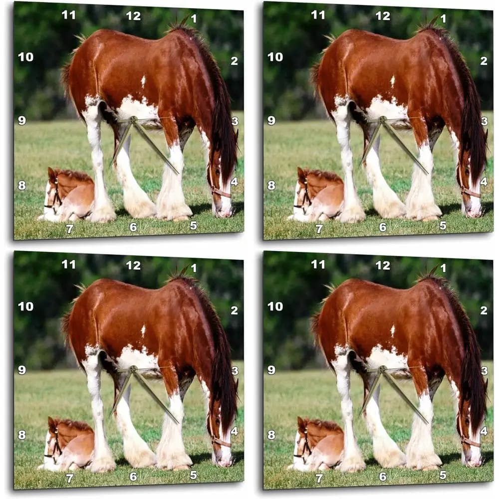 13 Clydesdale Horse wall clock for mother and child
