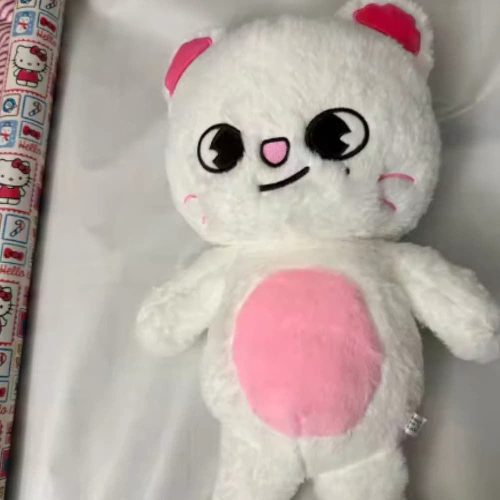 Nuovo SKZOO Stray Kids Teddy Peluche Abbraccio Cuscino Ventole della bambola Regalo Peluche Seoul FM Settimana Mantello Bambola Scuola di magia Regalo di compleanno per bambini