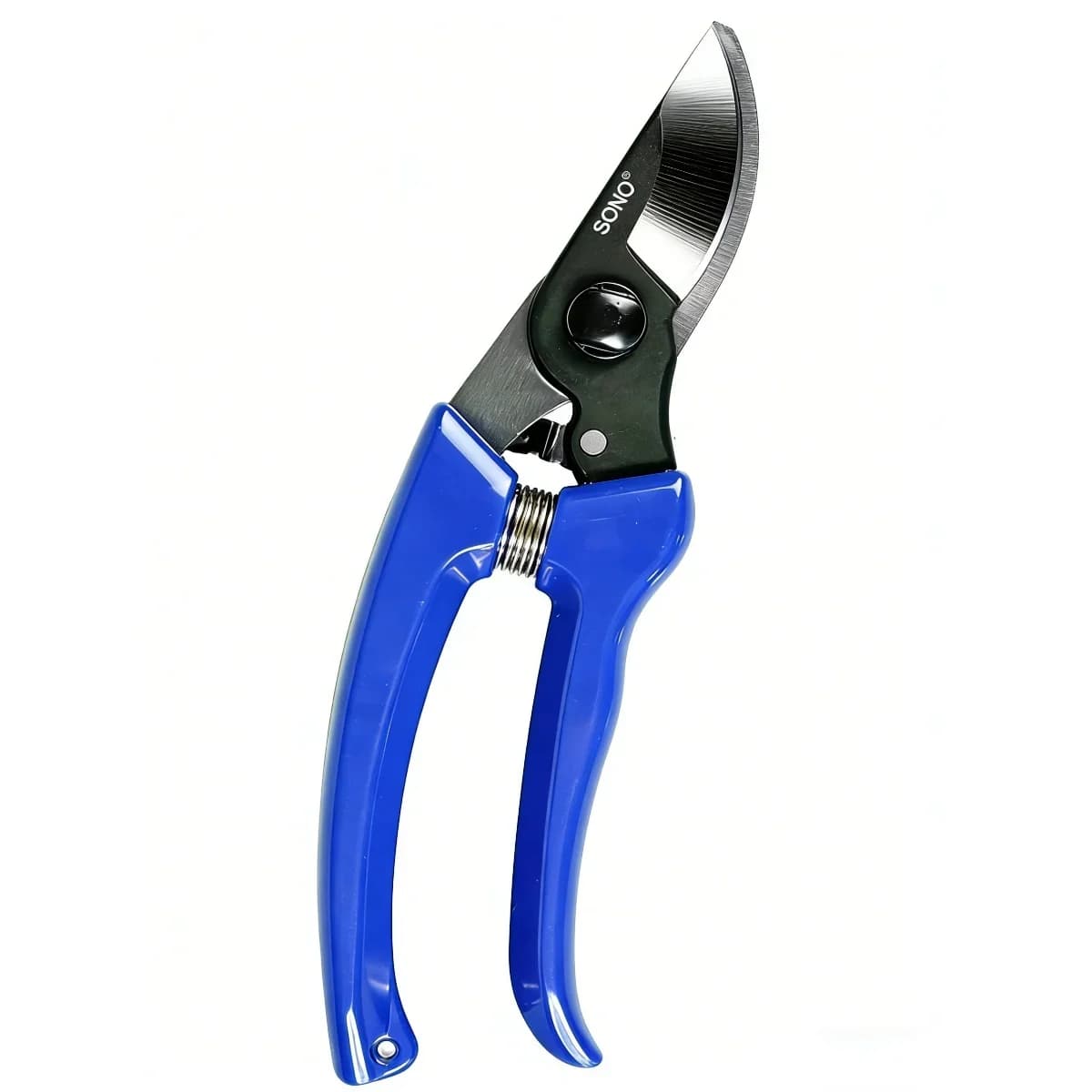 Professional Gardening Scissors, Manual Shears for Power, for Efficient Cutting of Coppers in Frutteti and Plants