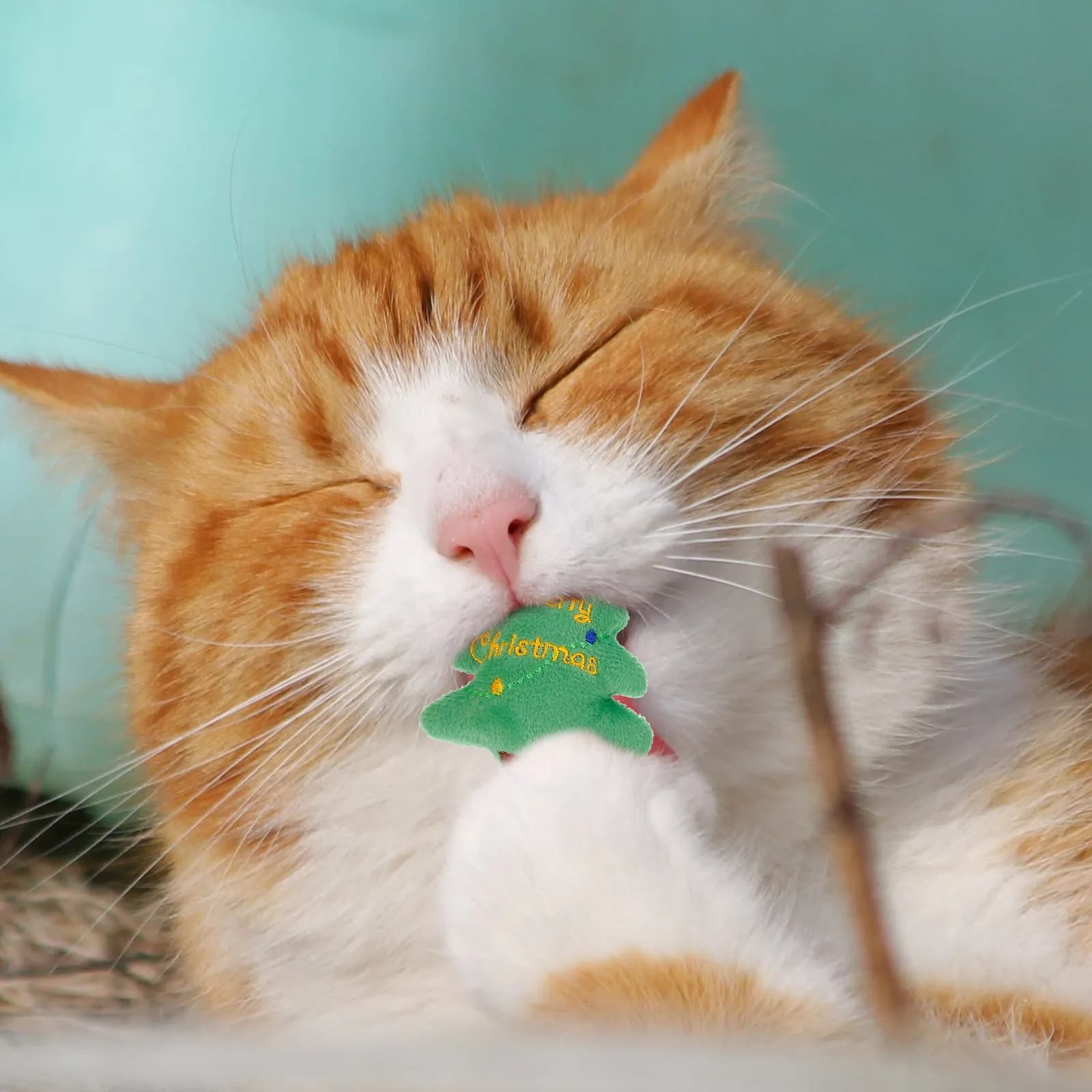 3Pcs Christmas Biting Set Penguin Snowman Tree Cat Dog Supplies Entertainment Training Catnip Company