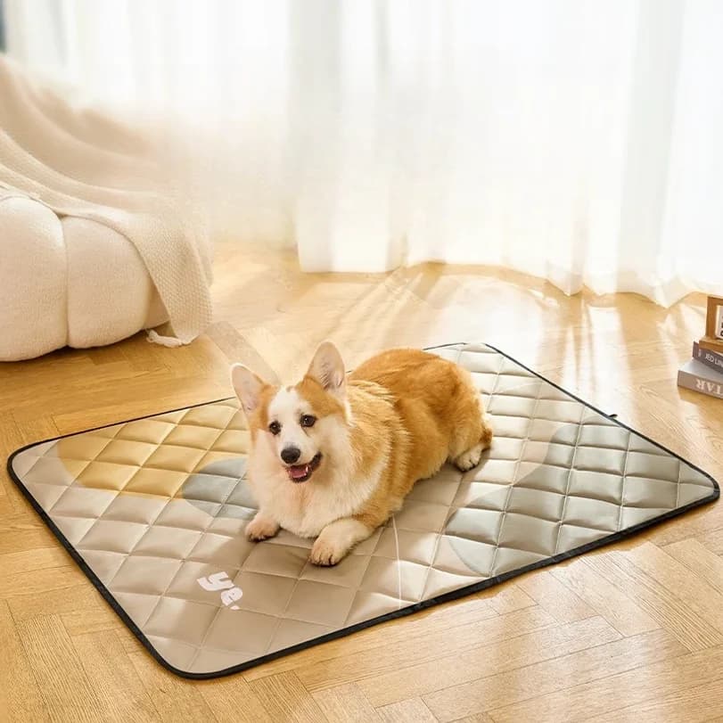 Tappetino per cani per stare al caldo in inverno, tappetino per animali domestici per dormire, anti strappo e anti urina, tappetino universale per tutte le stagioni