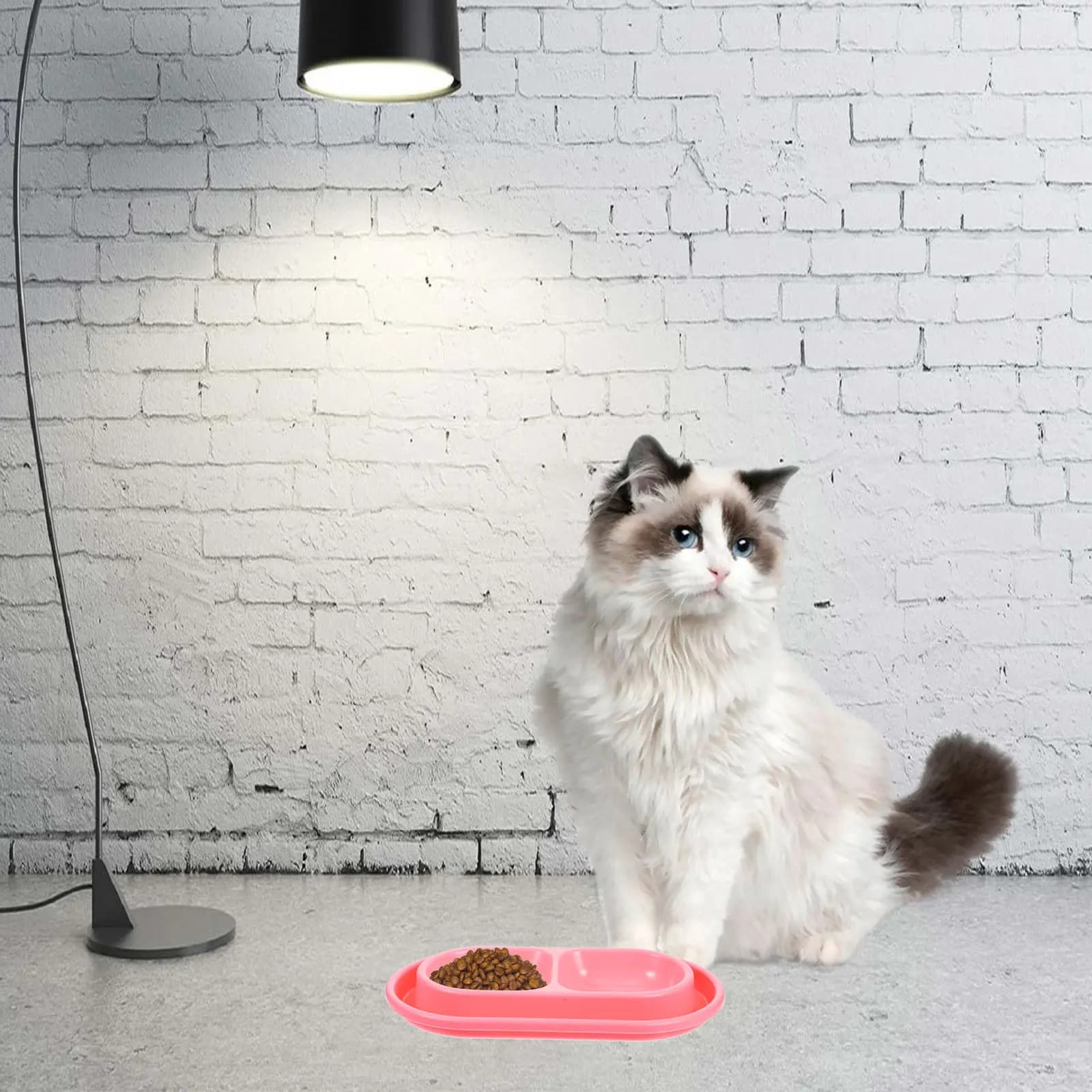 Set di Ciotole per Cani e Gatti con Doppio Scomparto, Design Anti-Formica, Contenitore per Cibo e Acqua, Grigio, Moderno, per Uso Interno ed Esterno