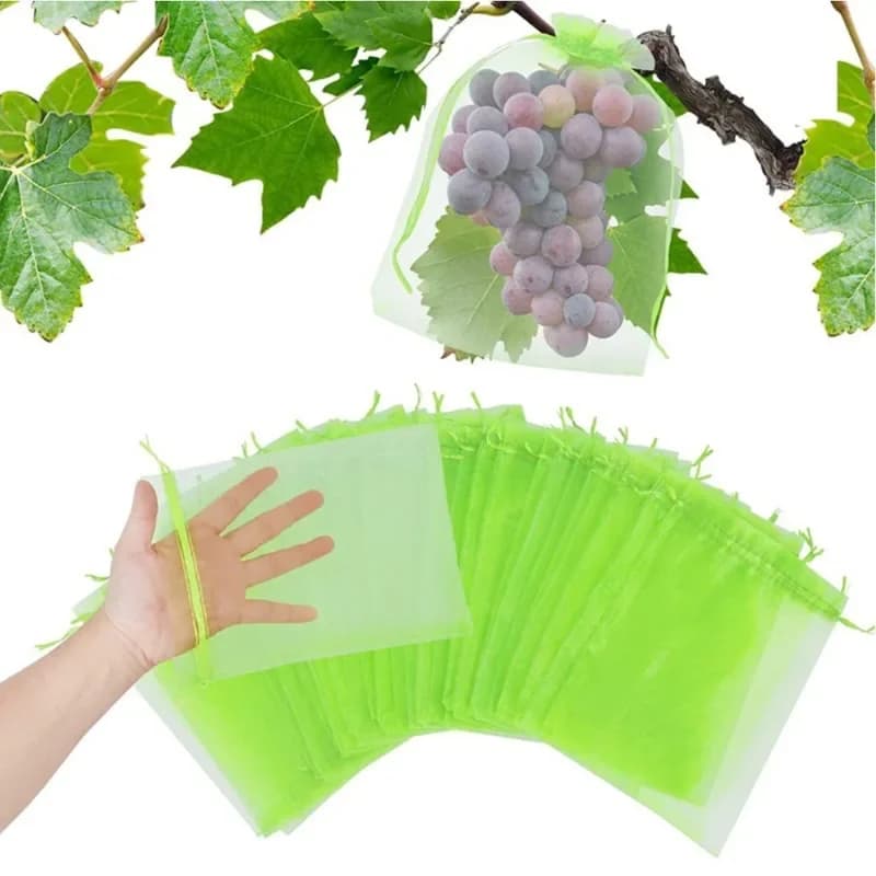 50 Sacchetti a Rete per Protezione Frutta 20x30cm, Sacchetti a Rete Riutilizzabili per Alberi da Frutto, Sacchetti a Rete da Giardino con Coulisse per Artigianato