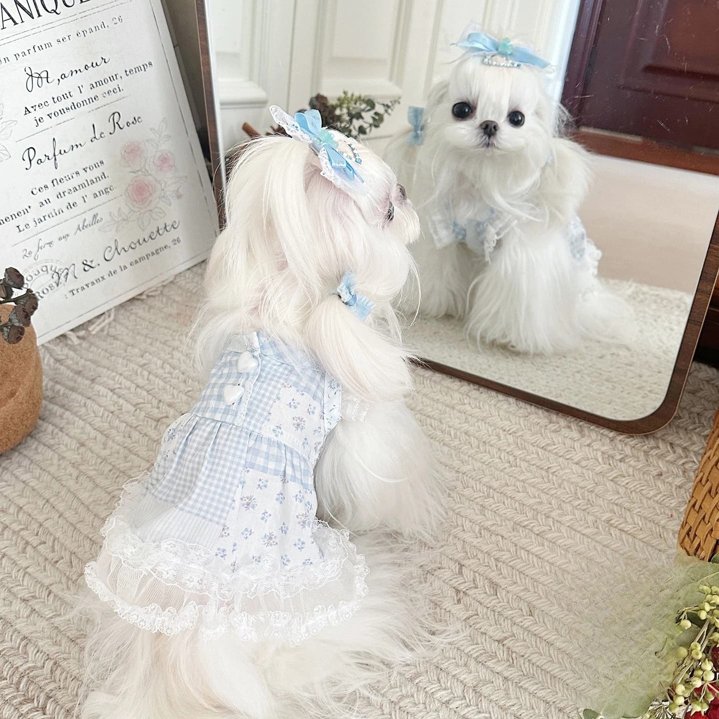 Vestito per cani di piccola taglia/cuccioli, sottile, primaverile/estivo, con maniche a volant, cinturino, pizzo e inserti in rete, modello gonna.