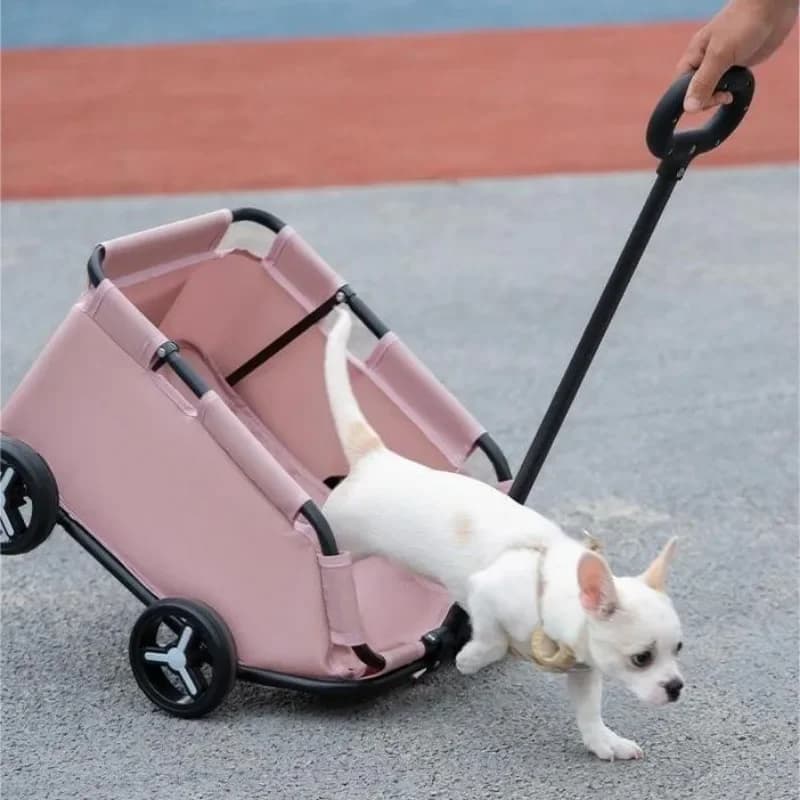 Passeggino per animali domestici per cani e gatti Carrello da viaggio pieghevole leggero Passeggino portatile per animali domestici Passeggino da viaggio pieghevole per animali domestici