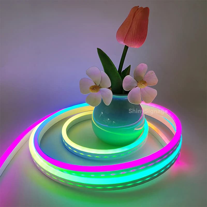 Luci al neon in silicone con pixel di colore magico a LED da 5 m Luce al neon flessibile impermeabile in silicone puro pieghevole 6x12mm Nessun punto Spina USB