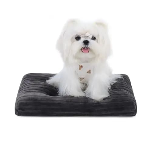Cuccia per Cani Lavabile per Cani di Taglia XX-Small, Letto Deluxe in Flanella Spessa e Soffice, Tappetino Comodo per Kennel, Antiscivolo e Antigraffio per Animali Domestici