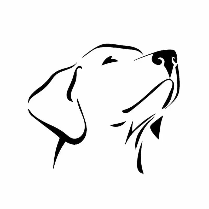 Adesivo per auto Creatività Personalità Labrador Retriever Decalcomanie in vinile impermeabili impermeabili, 15 cm * 12 cm