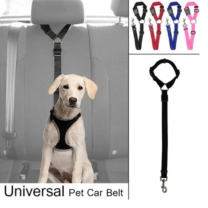 Cintura di sicurezza per auto per cani e gatti Cintura di sicurezza regolabile Cintura di sicurezza per animali domestici Guinzaglio per animali Cinghia di sicurezza per cani Clip da viaggio Forniture per animali domestici